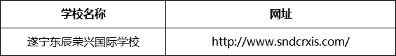 遂寧市遂寧東辰榮興國(guó)際學(xué)校網(wǎng)址是什么？