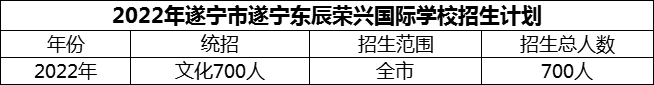 2024年遂寧市遂寧東辰榮興國(guó)際學(xué)校招生計(jì)劃是多少？