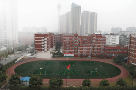 北京師范大學成都實驗中學校園風采