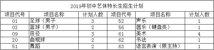 華陽(yáng)中學(xué)2019年特長(zhǎng)生計(jì)劃