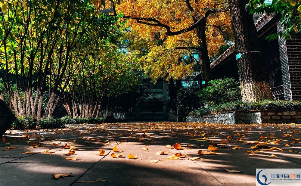 北京師范大學成都實驗中學初升高招生政策是什么？